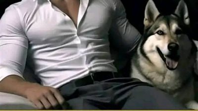روايه للكاتبه ياسمين عزيز 