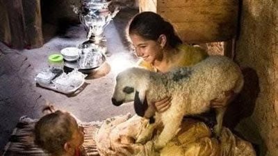 عشق الذئب اسماعيل موسى