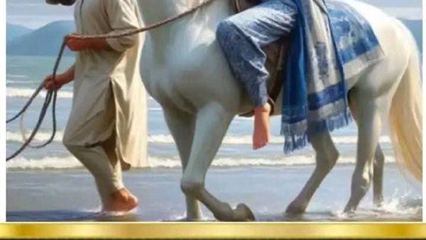 موقع أيام نيوز
