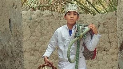 نظرت اليه بكبرياء بقلم ولاء رفعت