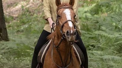 رواية أشواقي كاملة حتي الفصل الأخير بقلم زهرة الربيع