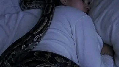 عاشت مع ثعبان ضخم 3 سنوات… ثم اكتشفت أنه لم يكن يحبها بل كان يقيسها