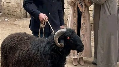 رواية جديدة 