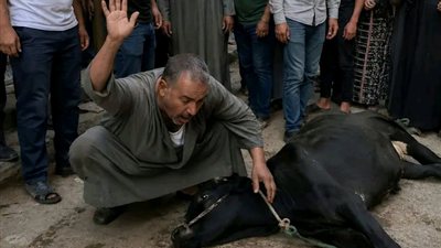 رواية جديدة 