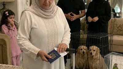 رواية جديدة 
