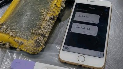 كان الغواص يعتقد أنه وجد مجرد جراب هاتف أصفر عالقًا بين المرجان في قاع البحر…