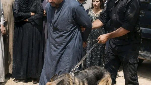 موقع أيام نيوز