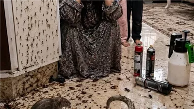 رواية جديدة 