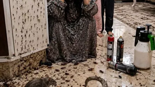 موقع أيام نيوز